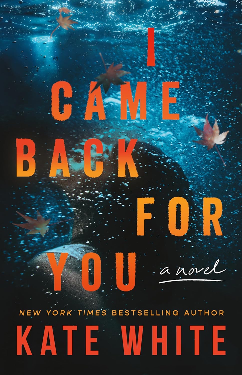 cover I Came Back for You